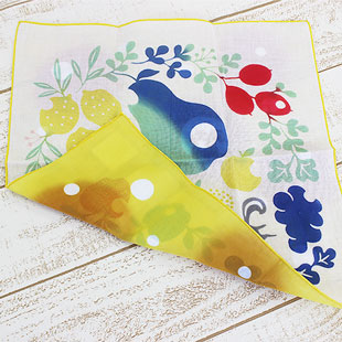 Reversible, hand-dye handkerchief, Fruits 